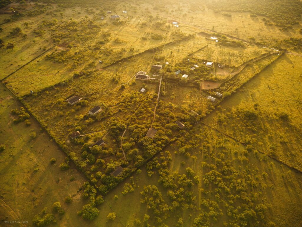 Masai Mara Safari Package