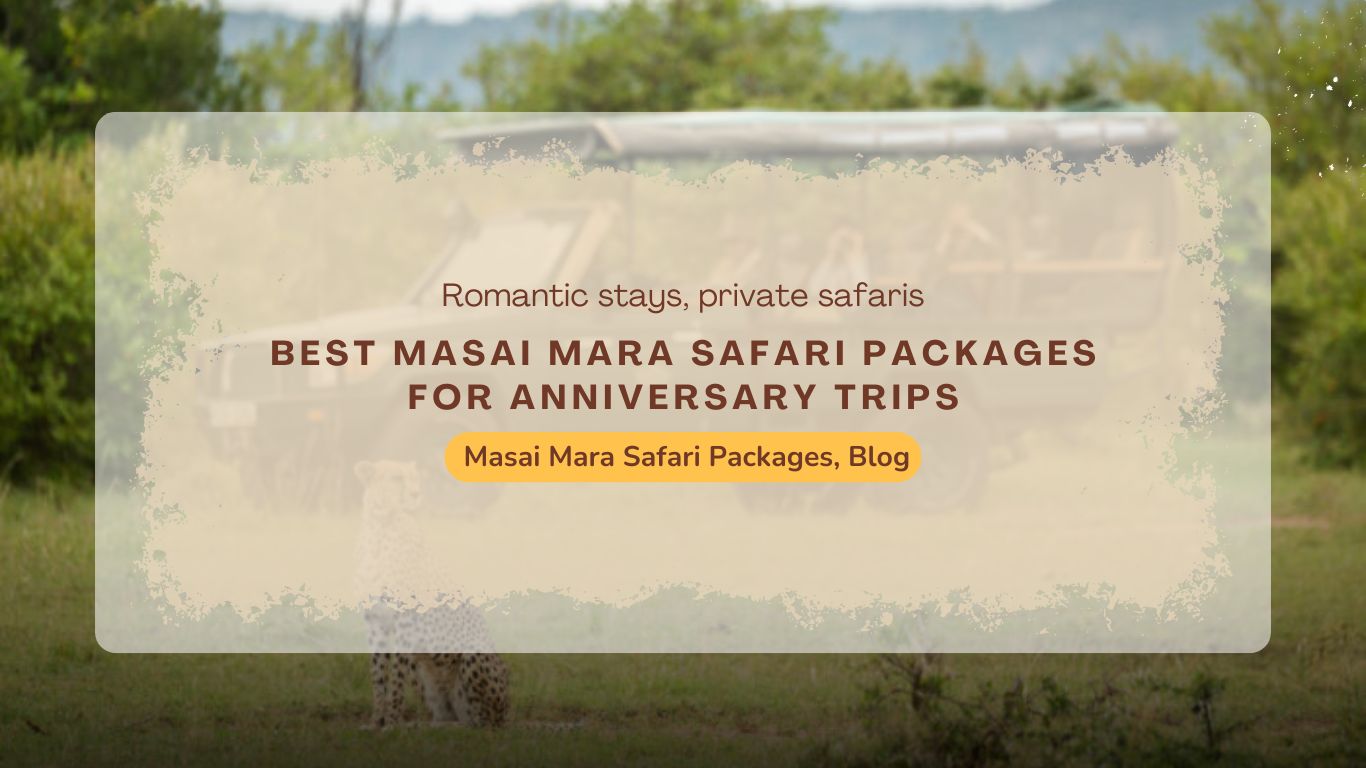 best-masai-mara-safari-packages-for-anniversary-trips