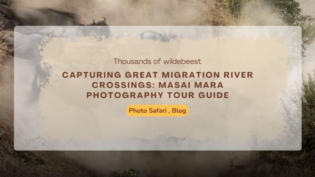 capturing-great-migration-river-crossings-masai-mara-photography-tour-guide