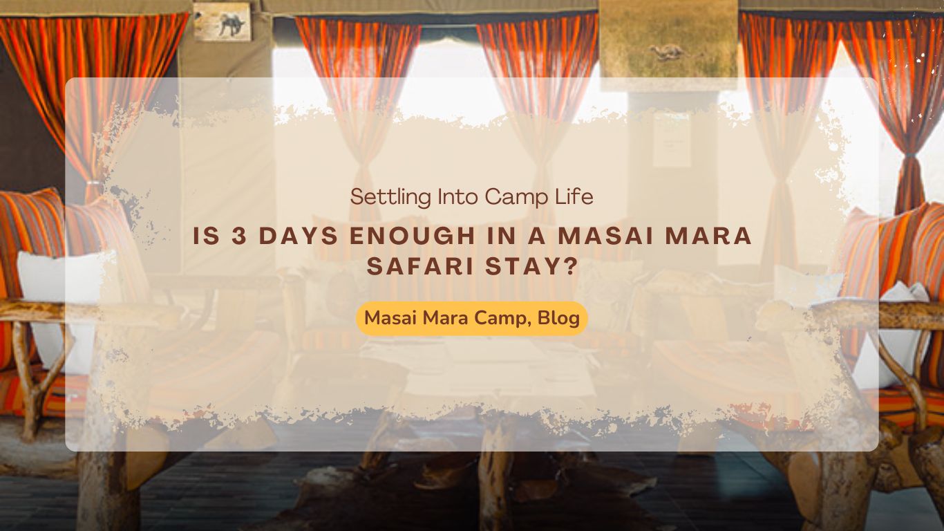 Masai Mara Safari stay