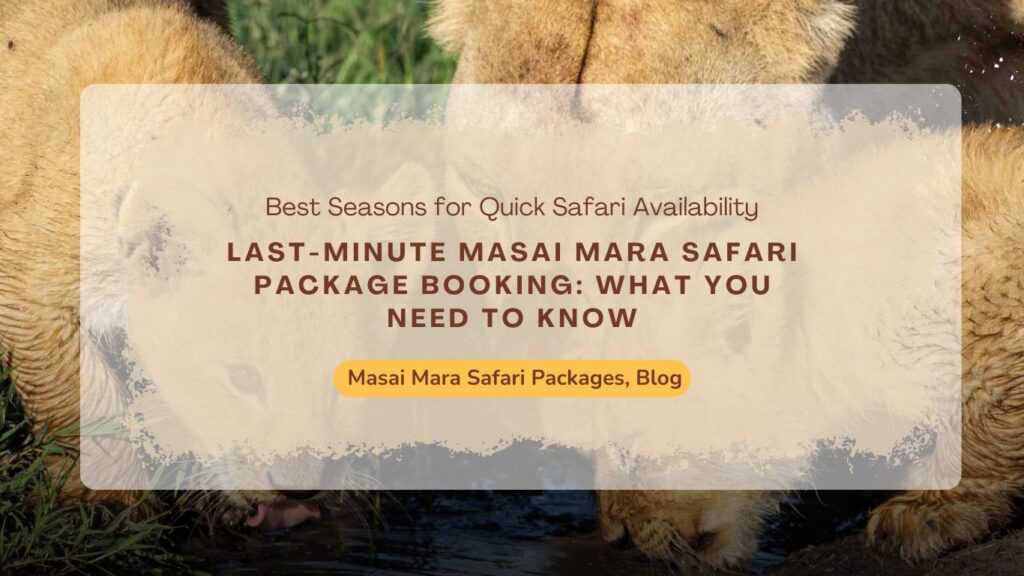 last-minute-masai-mara-safari-package-booking-what-you-need-to-know