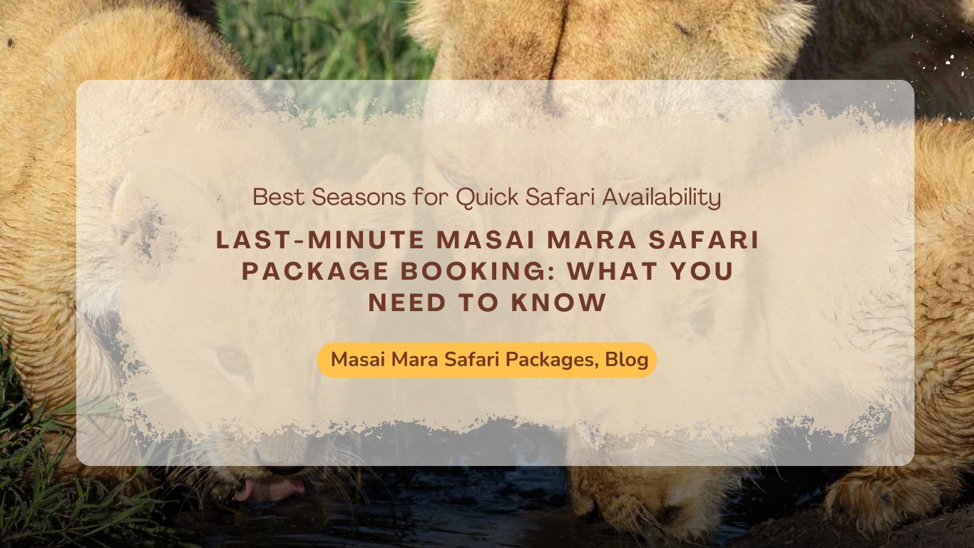 last-minute-masai-mara-safari-package-booking-what-you-need-to-know