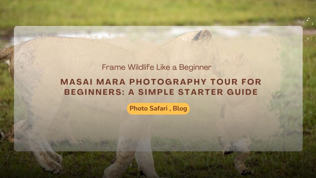 masai-mara-photography-tour-for-beginners-a-simple-starter-guide