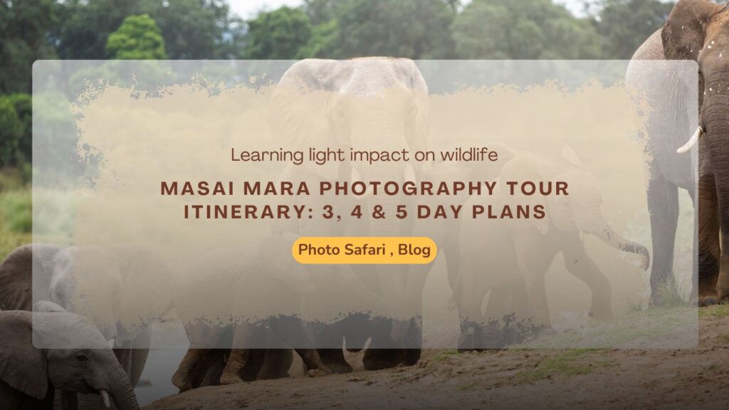 Masai Mara Photography Tour
