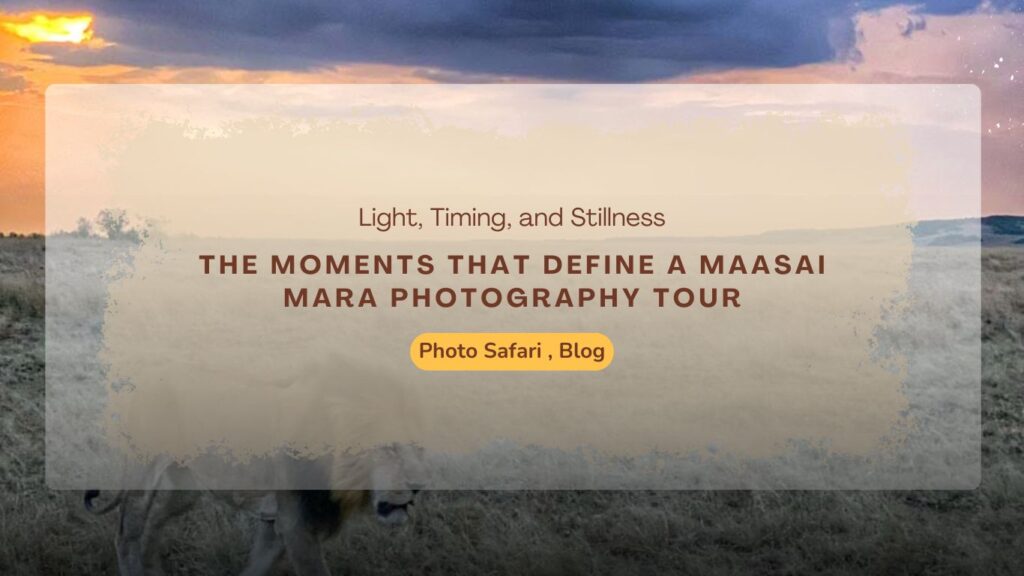 the-moments-that-define-a-maasai-mara-photography-tour