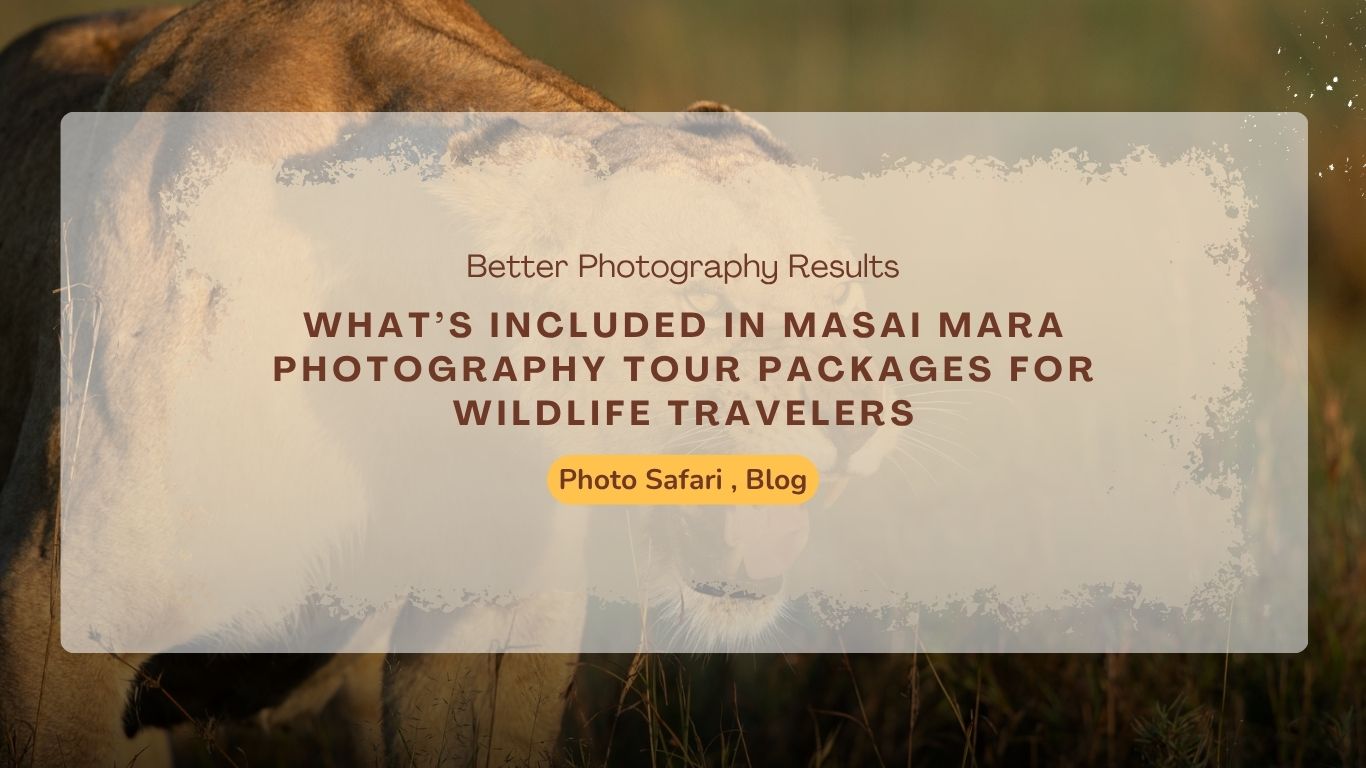what’s-included-in-masai-mara-photography-tour-packages-for-wildlife-travelers