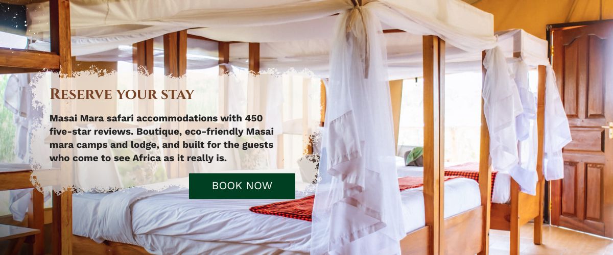 Safari Camp in Masai Mara