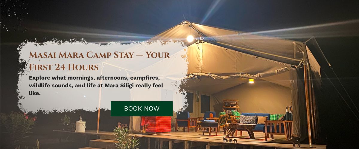 Masai Mara Safari Stay
