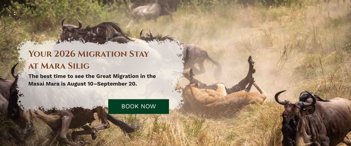 Masai Mara Camp
