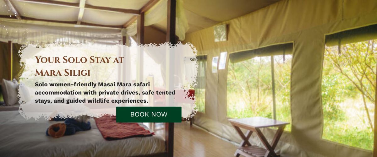 Masai Mara Safari Accommodation