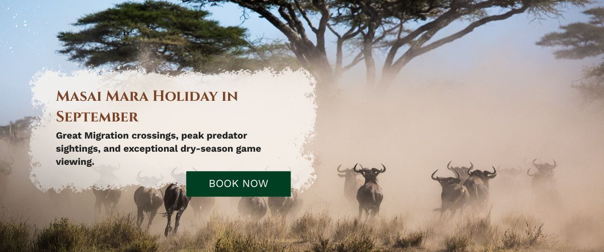 Masai Mara Holiday