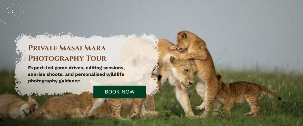 Masai Mara Photography Tour