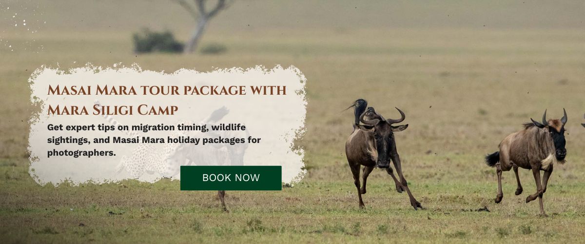 Masai Mara Tour Packages