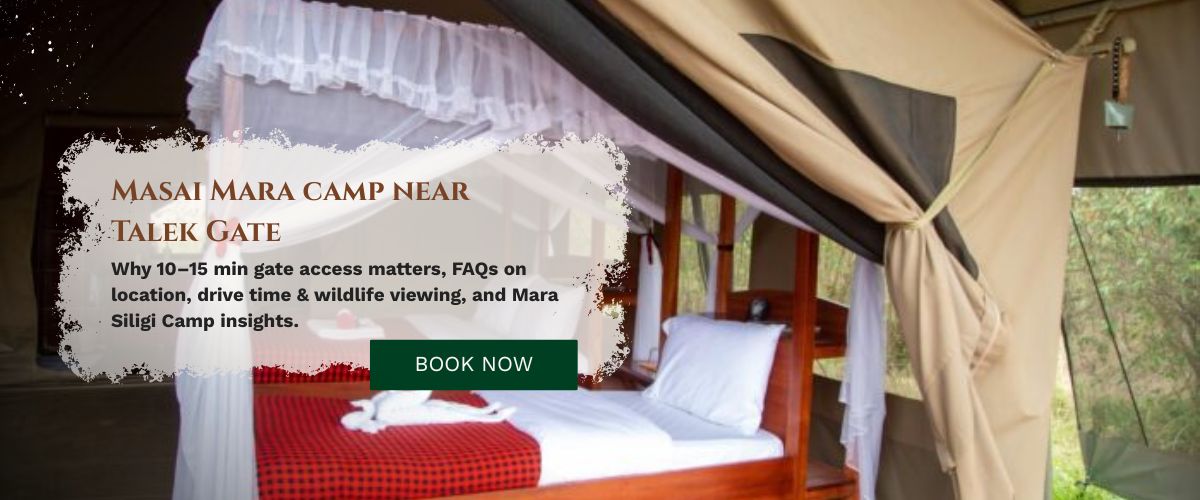 Masai Mara camp