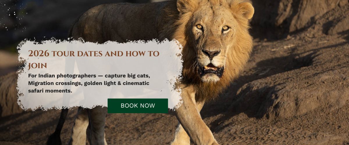 Masai Mara Photography Tour