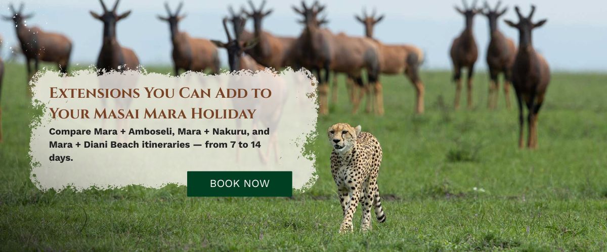 Masai Mara Holiday Package