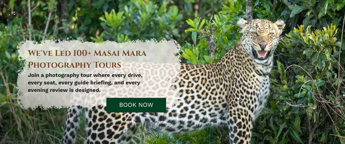 Masai Mara Photography Tours