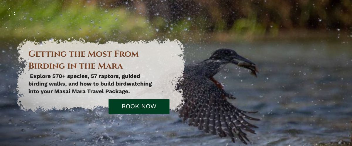 Masai Mara Travel Package