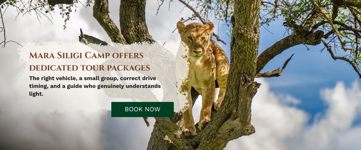 Masai Mara Photography Tour