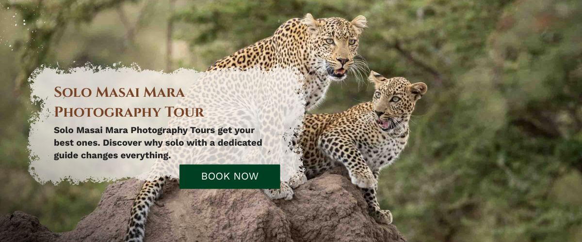 Masai Mara Photography Tour