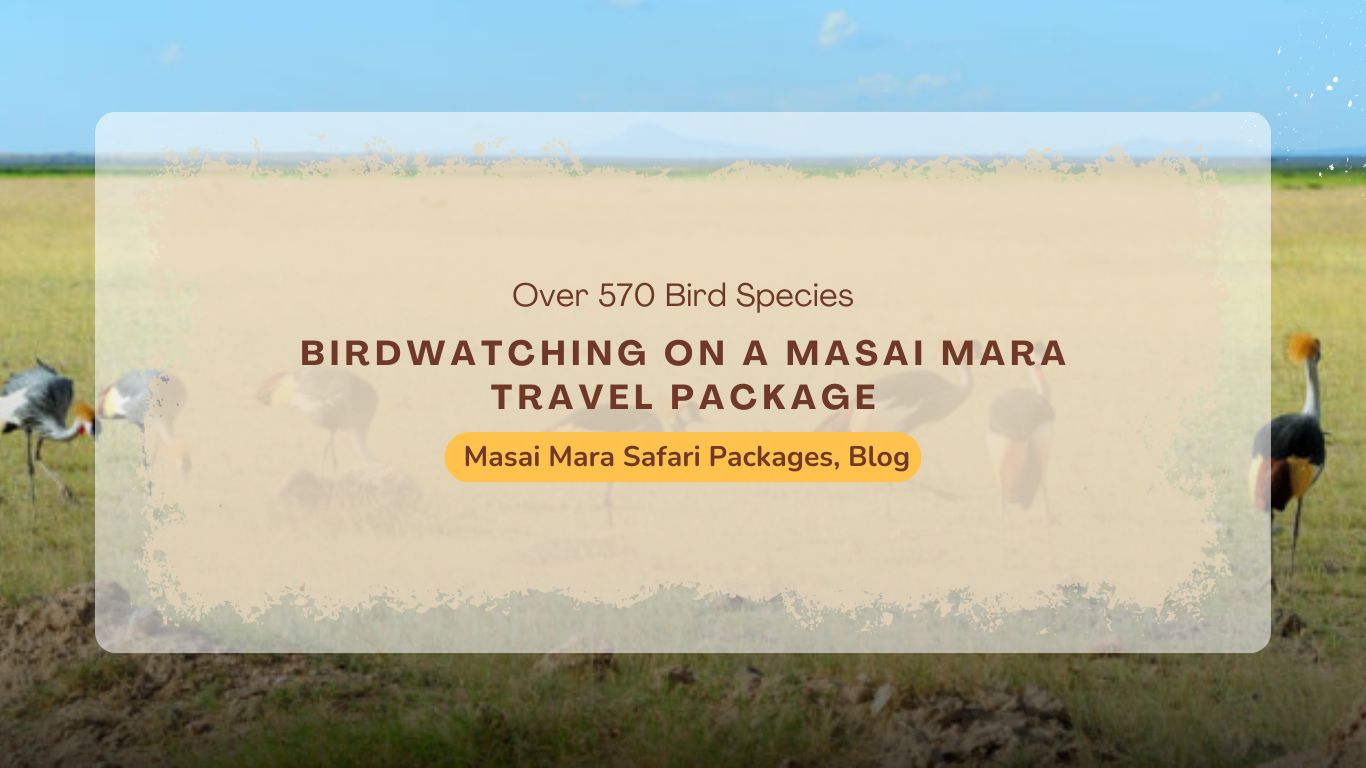 Masai Mara Travel Package