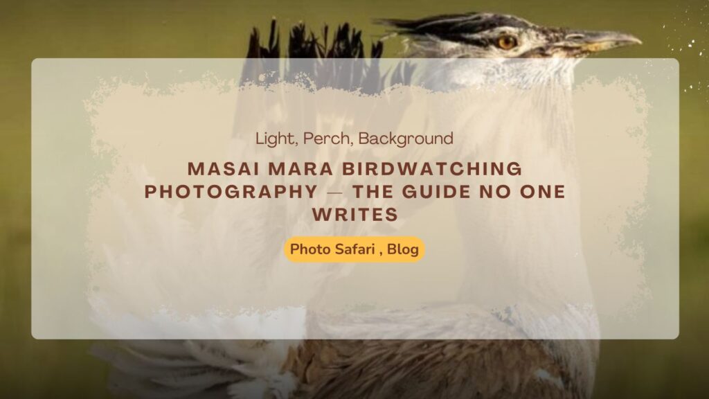 masai-mara-birdwatching-photography