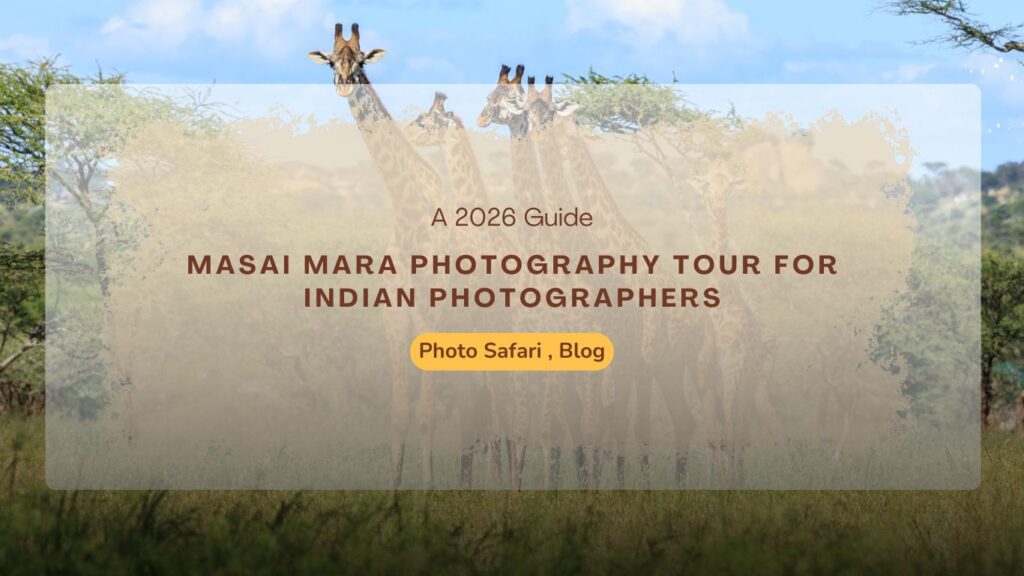 masai-mara-photography-tour-for-indian-photographers
