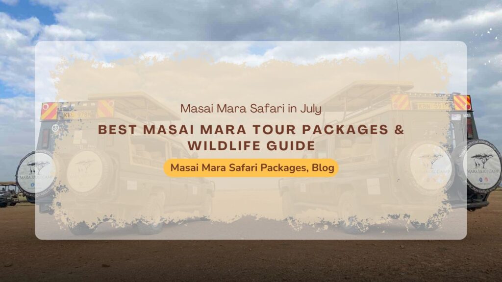 masai-mara-safari-in-july