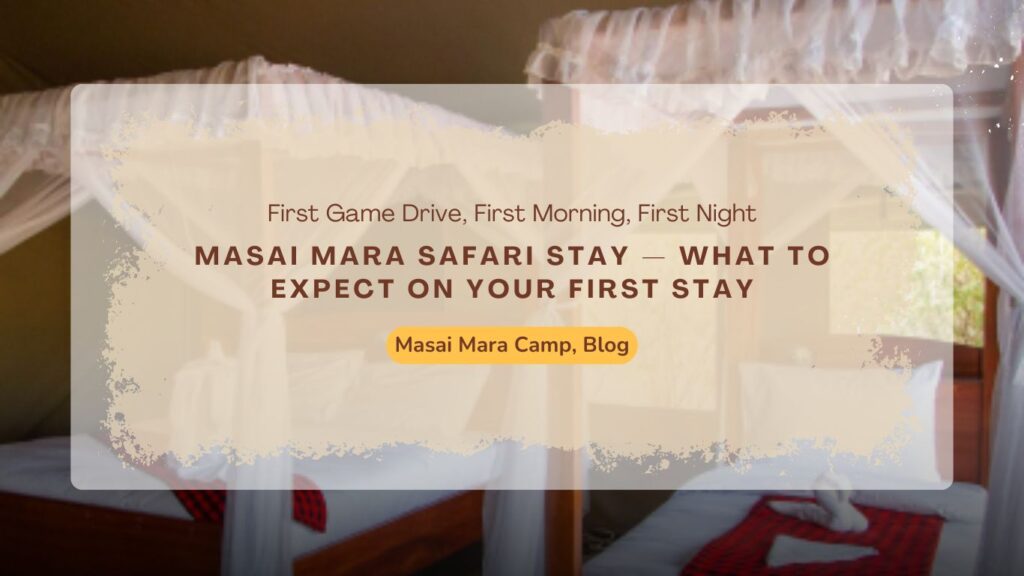 masai-mara-safari-stay-what-to-expect-on-your-first-stay