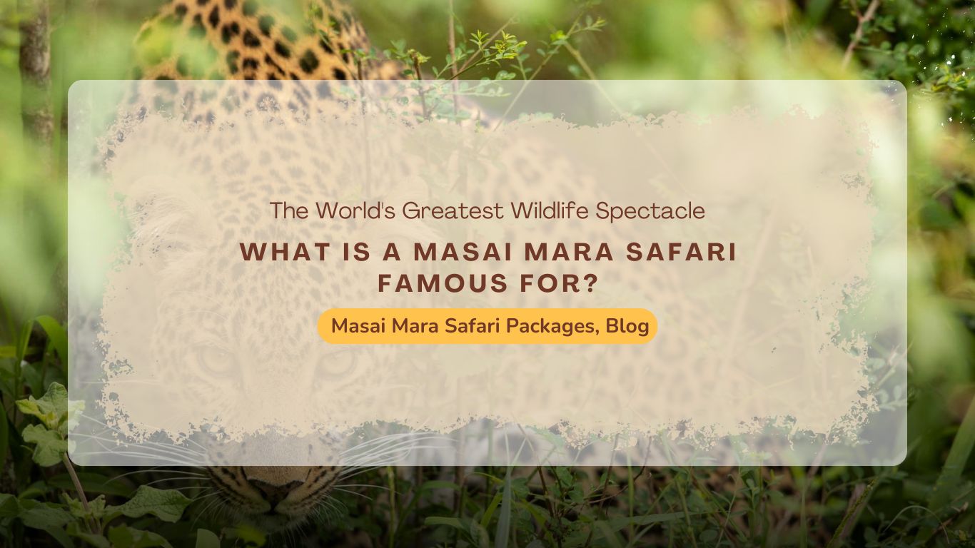 what-is-a-masai-mara-safari-famous-for