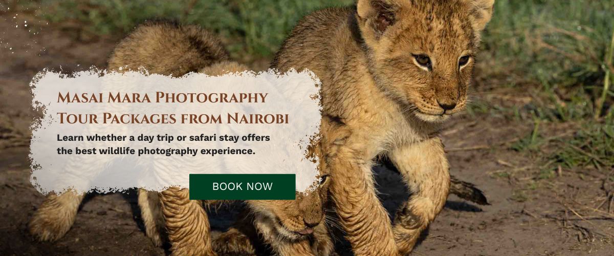 Masai Mara Photography Tour Packages