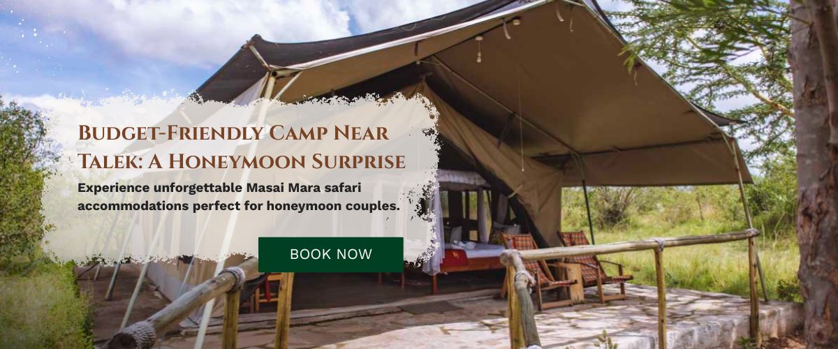 Budget Friendly Camp Near Talek