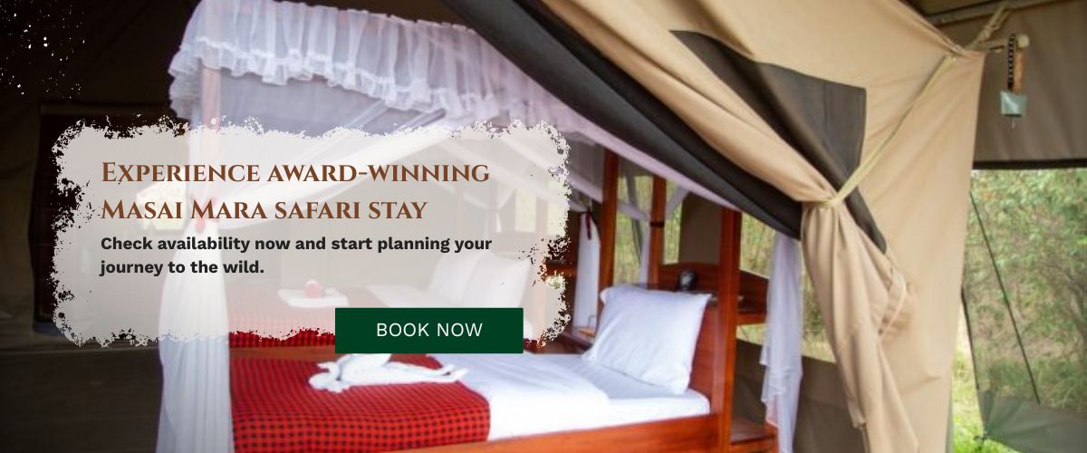 Mara Siligi Camp