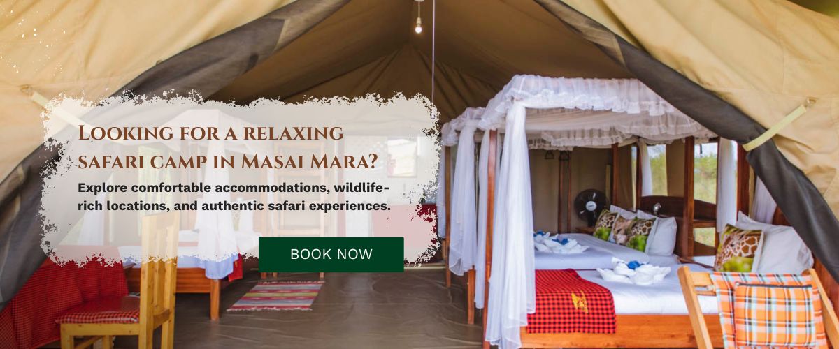 Safari Camp in Masai Mara