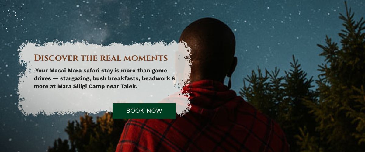 Masai Mara Safari Stay