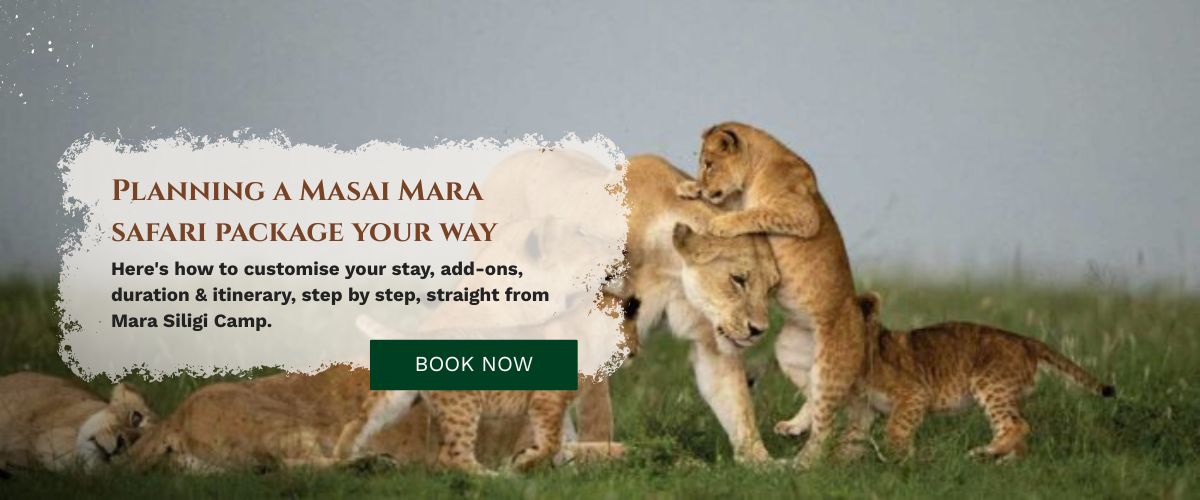 Masai Mara Safari Package