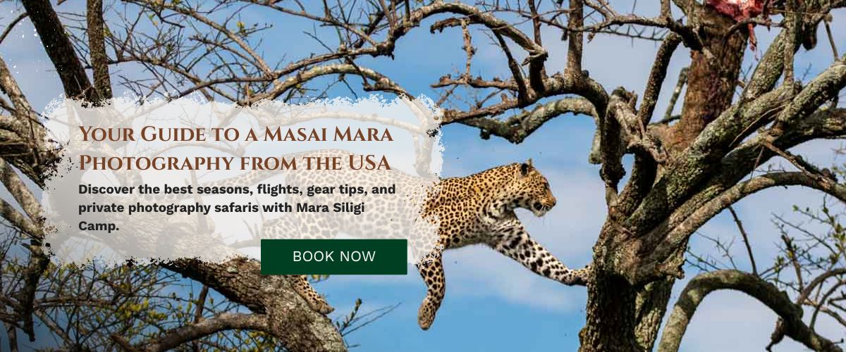 Masai Mara Photography Tour