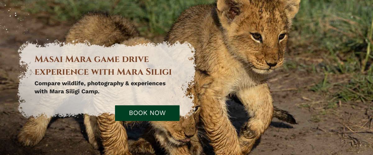 Masai Mara Tour Package