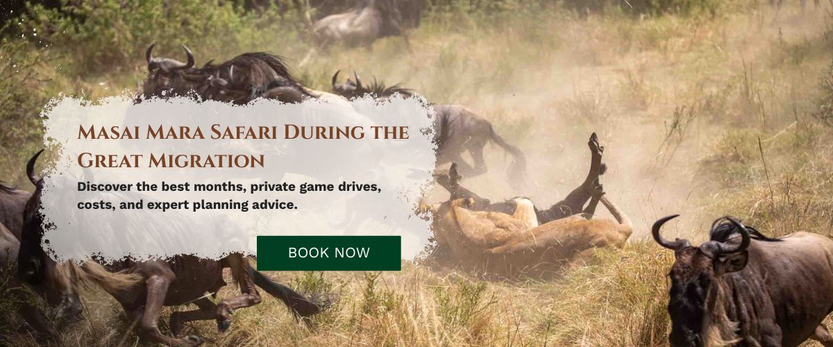 Masai Mara Tour Packages