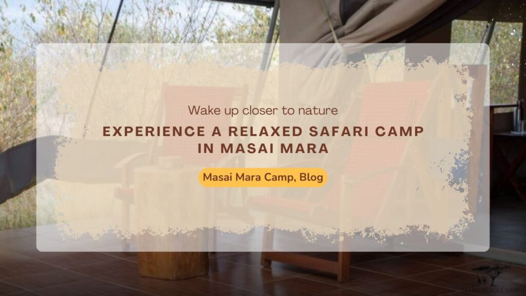 experience-a-relaxed-safari-camp-in-masai-mara