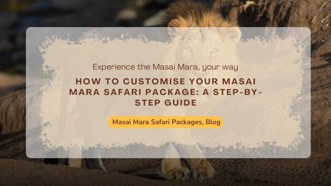 how-to-customise-your-masai-mara-safari-package-a-step-by-step-guide