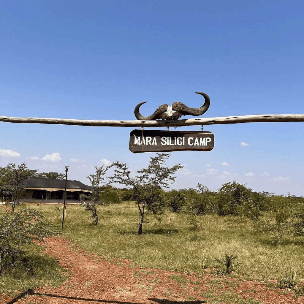 Mara Siligi Camp
