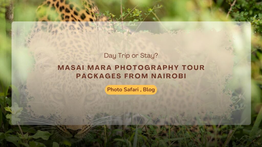 masai-mara-photography-tour-packages-from-nairobi
