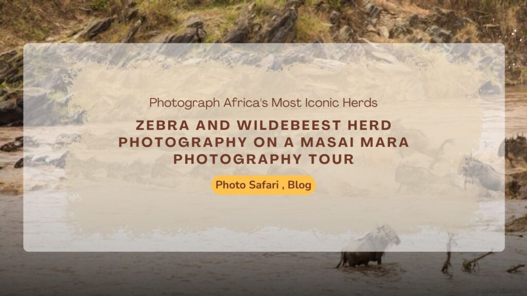 masai-mara-photography-tour