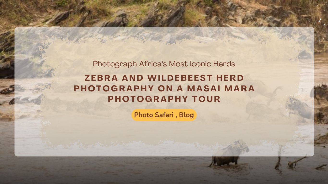masai-mara-photography-tour