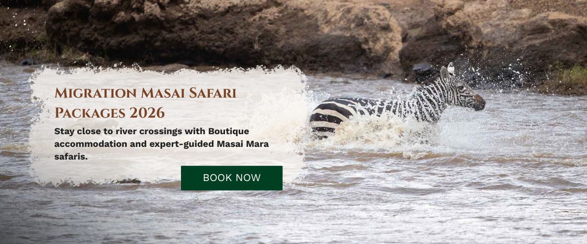 Safari Packages