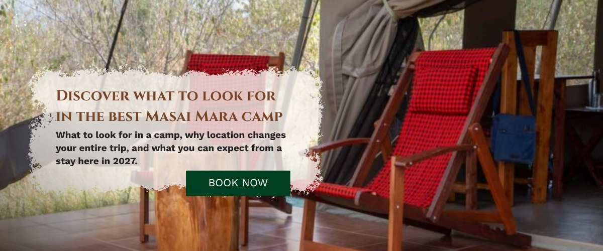 Safari Camp in Masai Mara