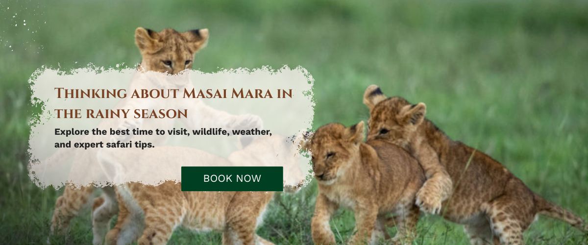 Masai Mara Tour Package