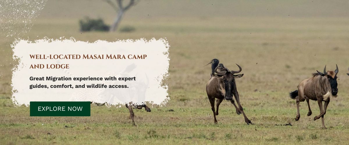 Masai Mara Camp and Lodge