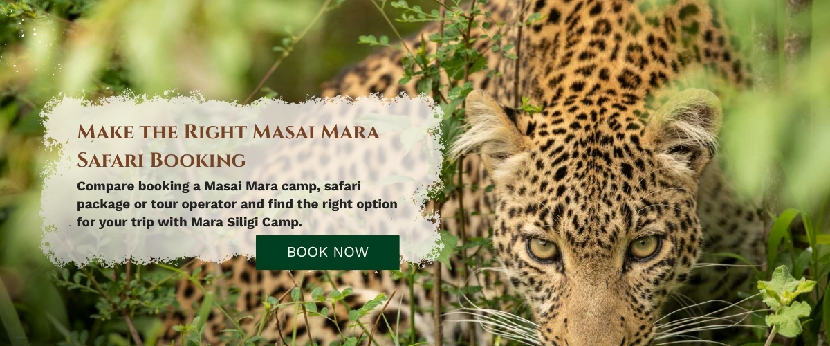 Masai Mara Safari Booking